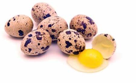 Чим корисні перепелині яйця