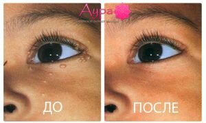 article2807.jpg
