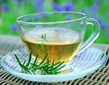 Хвойний чай від застуди: властивості і рецепт